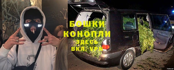 стаф Михайловск